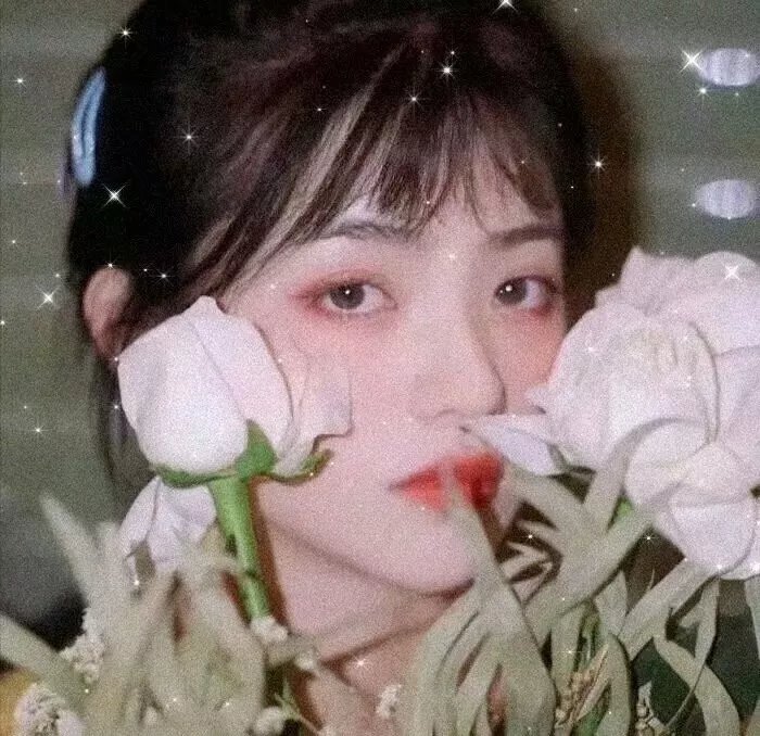 无法攻略的女人