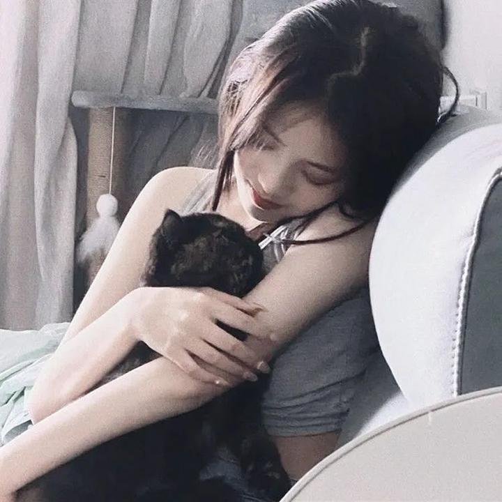 羊惧