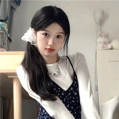 大象之梦